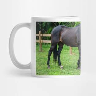 Sam the best  horse Mug